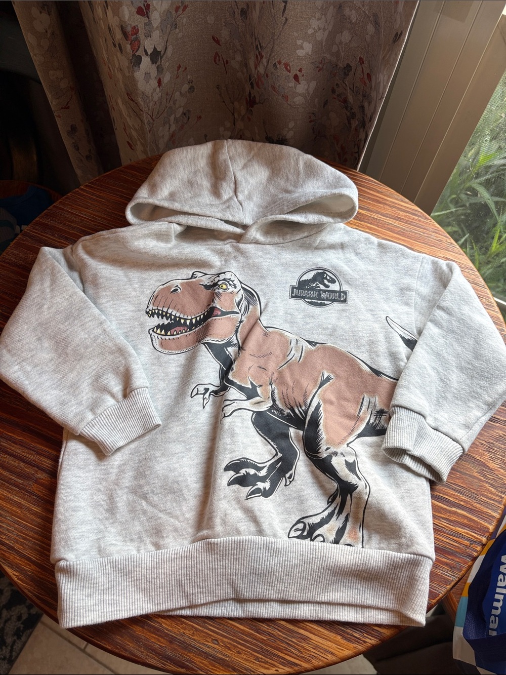 Kids' Light Gray Jurassic World Hoodie with T-Rex Graphic